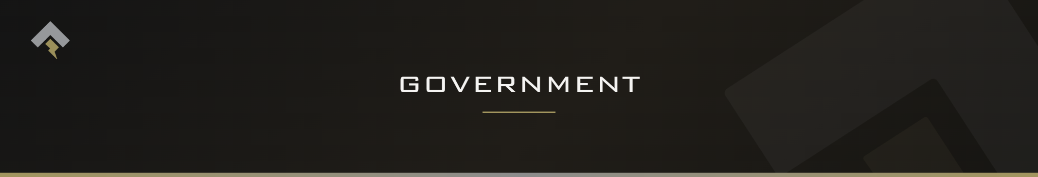 Fromm page header banner for "Government" featuring the Fromm chevron and lightning bolt mark on a dark charcoal background with a subtle gold-gray diagonal accent.